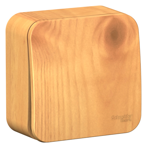 Выключатель о/у Бланка 1кл ясень IP20 10А с изол. пл. (упак-15шт) SchE                                         фото 5                    