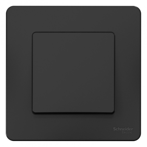 Выключатель с/у Бланка 1кл антрацит IP20 10А (упак-10шт) SchE                                         фото 2                    