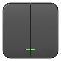 Выключатель о/у Бланка 2кл антрацит IP20 10А с инд. и с изол.пл. (упак-15 шт) SchE          