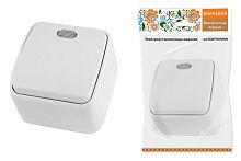 Выключатель о/у Дача 1-кл. с подсветкой IP20 10А, белый  Народная ТДМ          