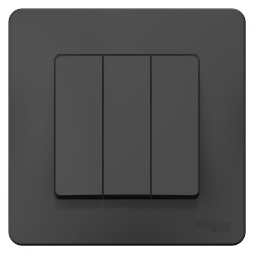 Выключатель с/у Бланка 3кл антрацит IP20 10А (упак-10шт) SchE                                         фото 2                    