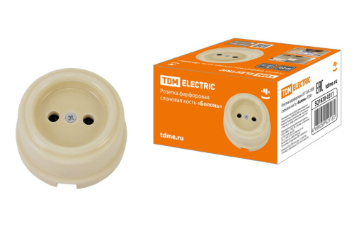 Розетка фарфоровая 2П 10А 250В сл.кость «Болонь» ТДМ                                        