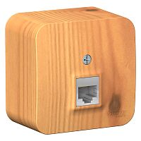 Розетка о/у Бланка RJ45 1м ясень в сборе кат.5E (комп.) изол. пл. (упак-12шт) SchE          