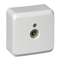 Розетка о/у Этюд TV 1м белый 1dB (индивид.) (упак-25 шт) SchE          