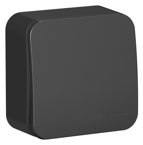 Выключатель о/у Бланка 1кл антрацит IP20 10А с изол. пл. (упак-15шт) SchE                                         фото 2                    